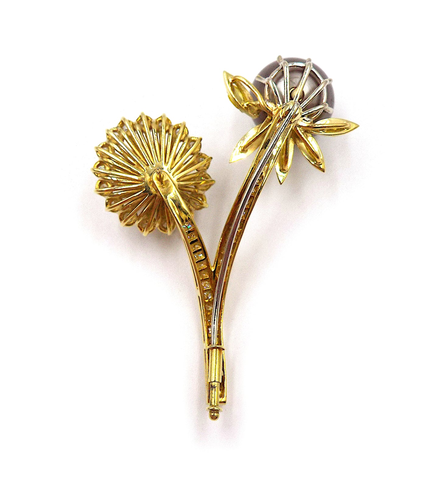 South Sea Cultured Pearl, Diamond, Colored Diamond, Gold Brooch